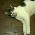 040805-200625.jpg