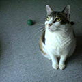 040604-120120.jpg