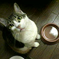 040703-213321.jpg