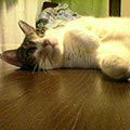 040905-133208.jpg