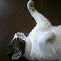 040618-103207.jpg