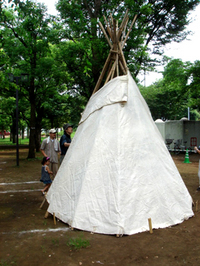 tipi1