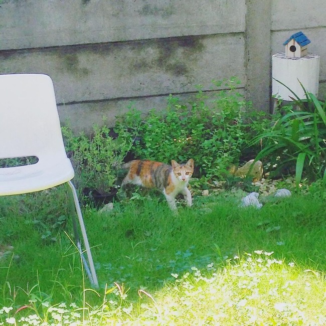 4DCDAD47-9D99-43CA-A872-FDA007279B33