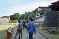 DSC07984