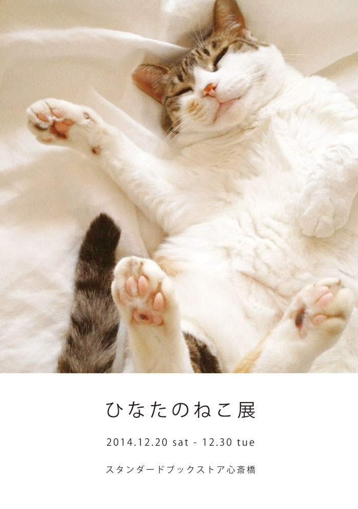 nekotenoosaka_web