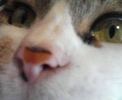 haname