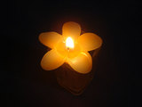 candle2