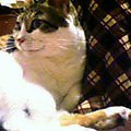 050222-191250.jpg