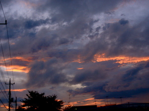 dusk090729