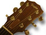 taylorhead