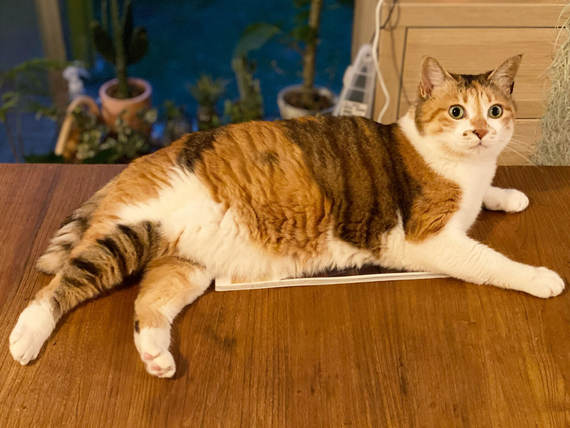 0AECC2E9-75AE-40C9-A21B-2BCEEFC3A47A