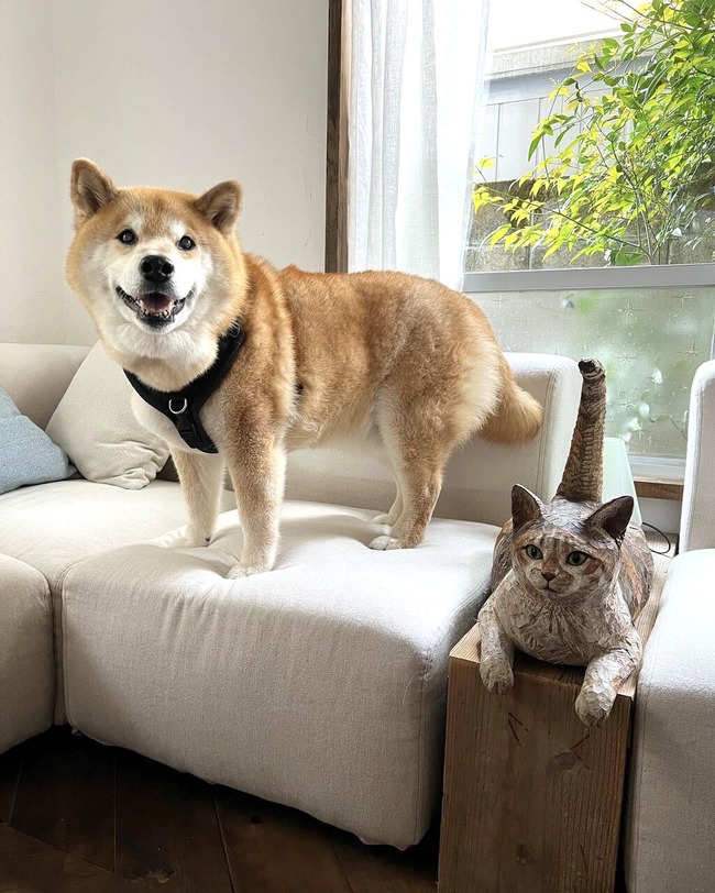 13E0ACC7-A324-41BB-9BA3-2ABA5A0E7563