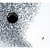 wilco2007