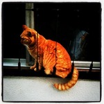 Photo 2�� 22, 21 04 15