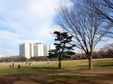 nypark