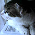 050628-122243.jpg