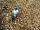 park080302_1