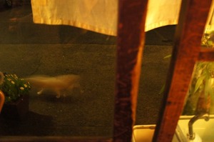 DSC07415