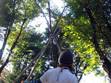 tipi7