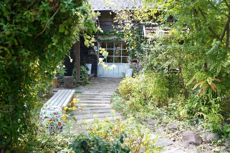 DSC05562