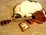 ukupochi