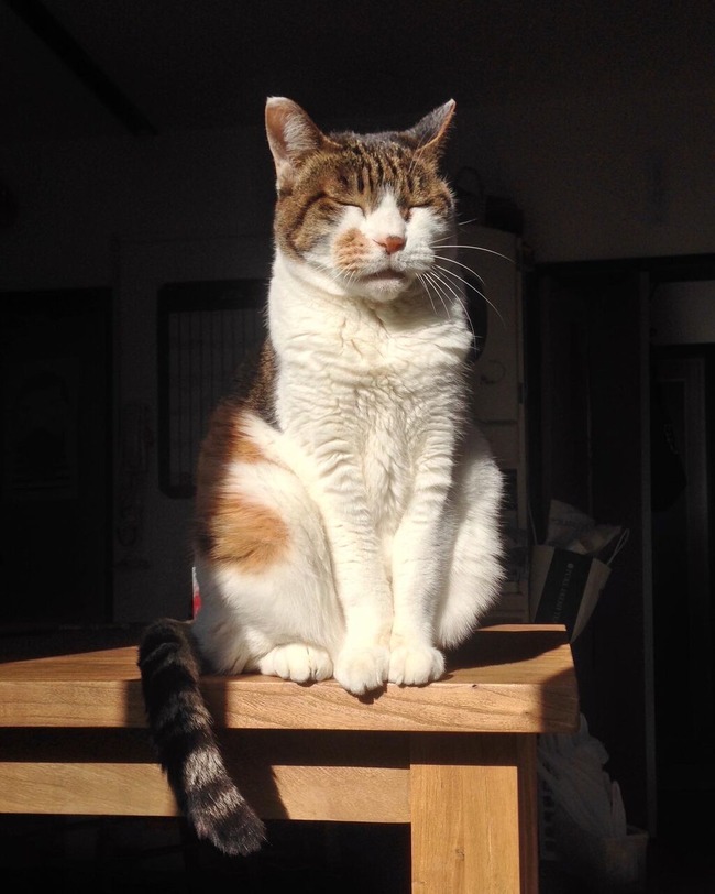 52974E2C-A1CD-440B-B9D9-8AFCF45BAF5D