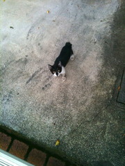 �̿� 11-07-07 16 48 18