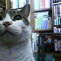 050222-101353.jpg