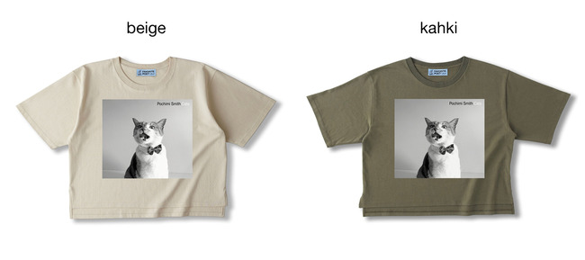 body_color_id_22