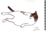 pochi_sketch