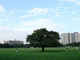 park1