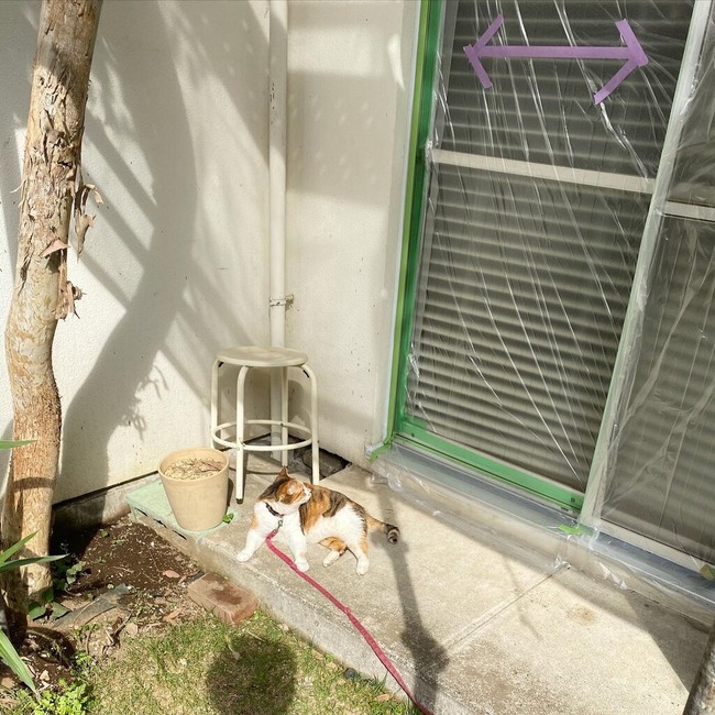 8D0CCA62-BCA1-460C-92FE-86259C5DDD24