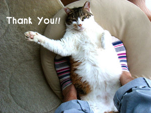 thank