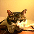 050529-235540.jpg
