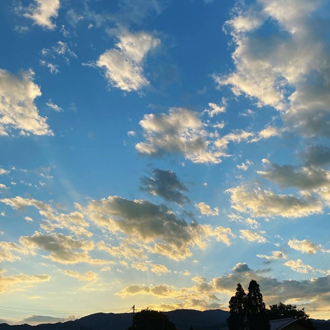 9F31638A-02A7-45DE-8E10-8AFC270D0FD7