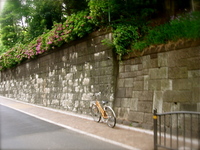 hiroo