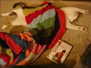 pochisleep2