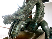 magicdragon