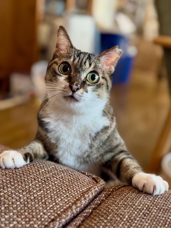 A436CAB2-105D-4FF6-857B-C258A0C1812F