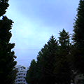 050510-122624.jpg