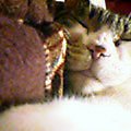 050225-162547.jpg