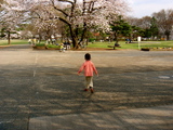 spring2
