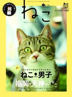 4910072330263-250x338