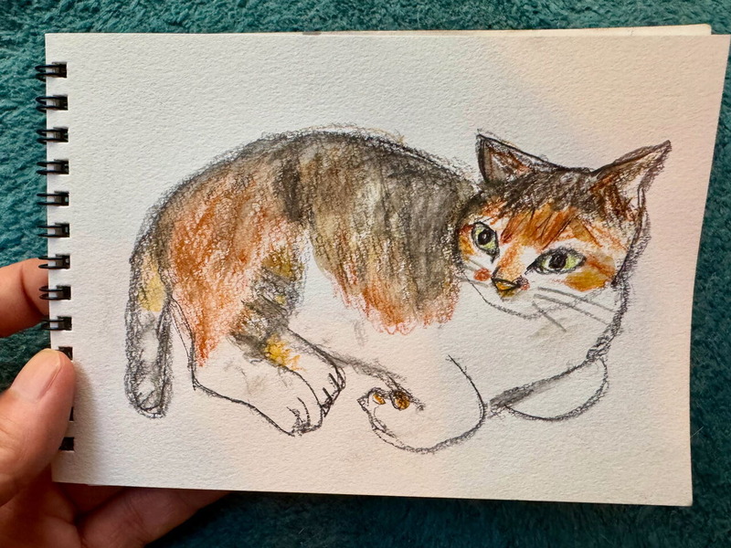 9B84100A-0678-438D-AAD1-B0849ACBE655