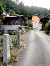 ful_1