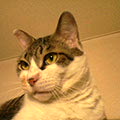 050703-235207.jpg