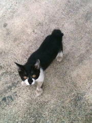 �̿� 11-07-07 16 48 24