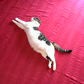 050626-131452.jpg