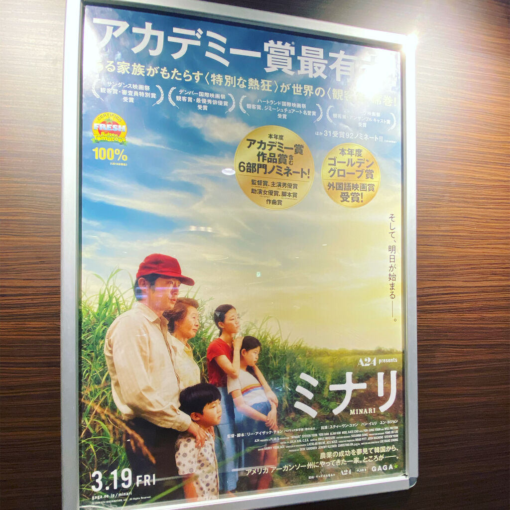 Monoblog 映像