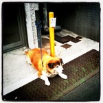 Photo 2�� 22, 21 05 14